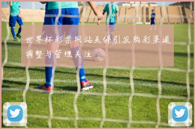 世界杯彩票网站关停引发购彩渠道调整与管理关注