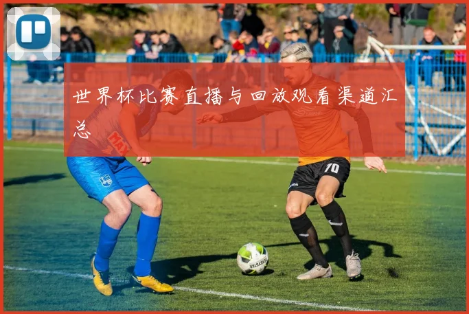 世界杯比赛直播与回放观看渠道汇总